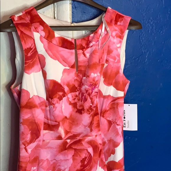 En Focus Studio Dress - Picture 2 of 8